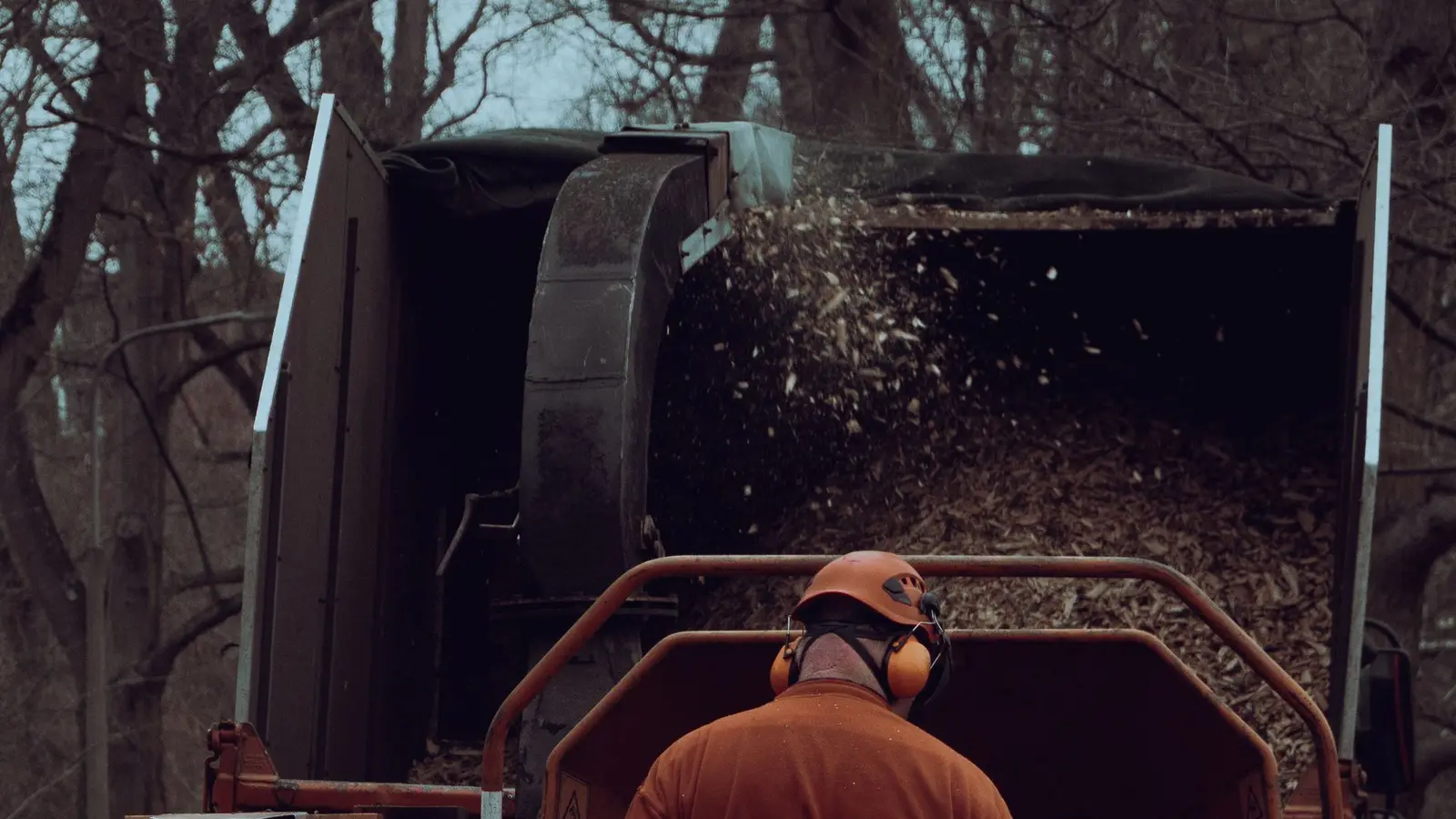 Worker in orange clothing standing at the back of a wood chipper trailer